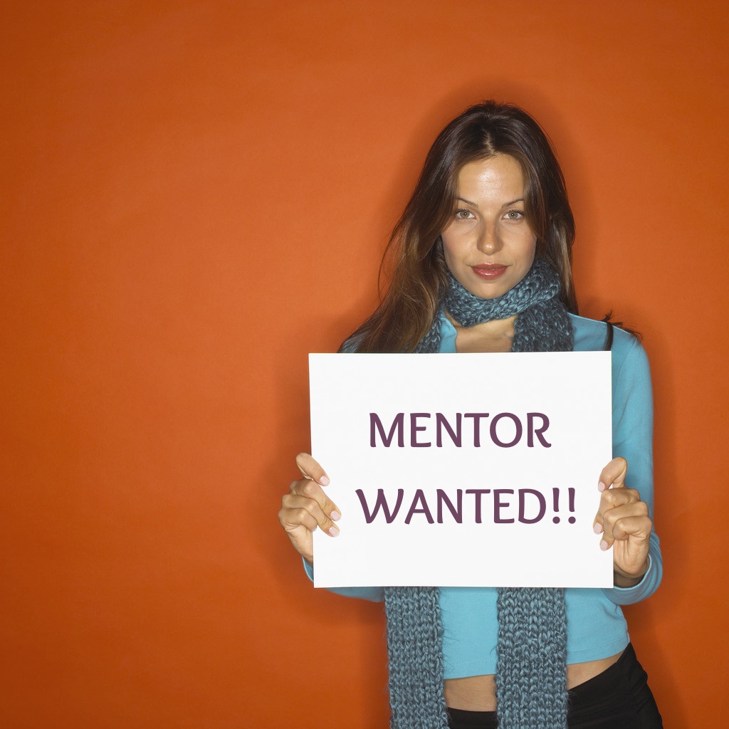 Mentor wanted